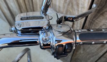 HARLEY DAVIDSON ROAD KING SCREAMING EAGLE lleno