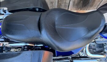 HARLEY DAVIDSON ROAD KING SCREAMING EAGLE lleno