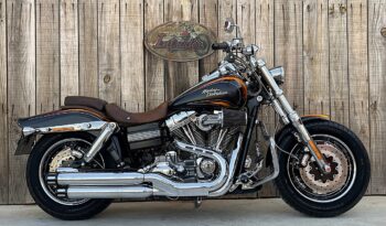 HARLEY DAVIDSON DYNA FAT BOB CVO lleno