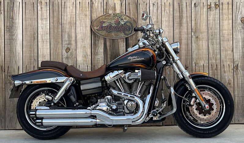 HARLEY DAVIDSON DYNA FAT BOB CVO lleno