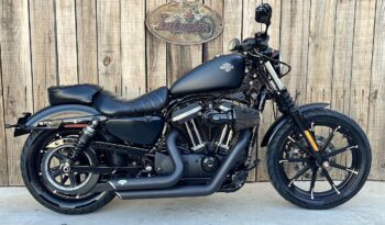 HARLEY DAVIDSON XL883 IRON lleno