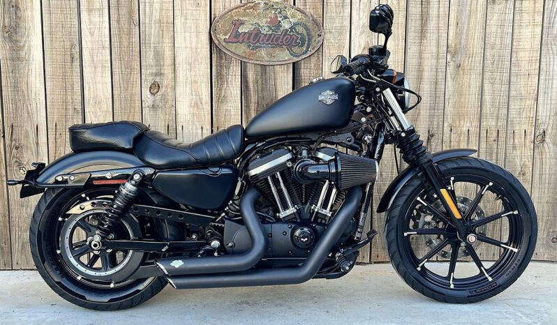 HARLEY DAVIDSON XL883 IRON lleno