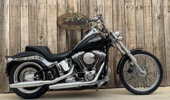 HARLEY DAVIDSON SOFTAIL NIGHT TRAIN lleno