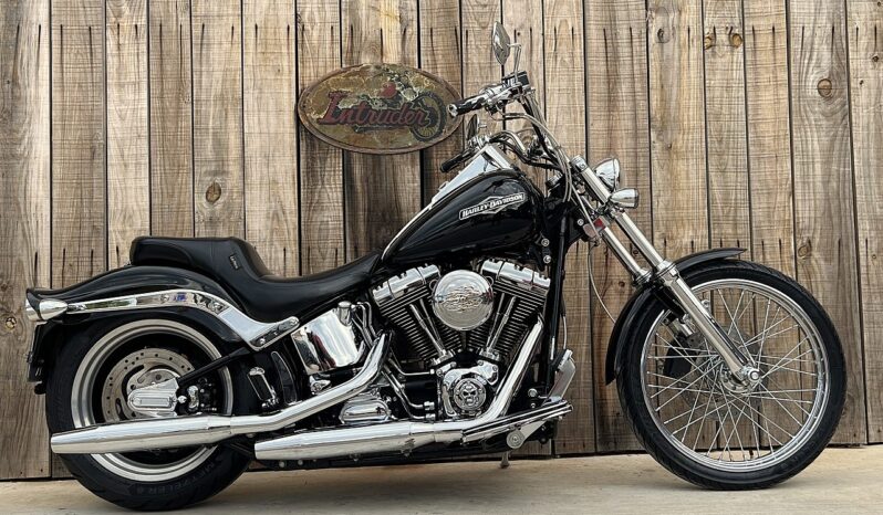 HARLEY DAVIDSON SOFTAIL NIGHT TRAIN lleno