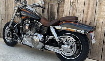 HARLEY DAVIDSON DYNA FAT BOB CVO lleno