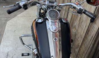 HARLEY DAVIDSON DYNA FAT BOB CVO lleno