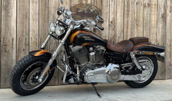 HARLEY DAVIDSON DYNA FAT BOB CVO lleno