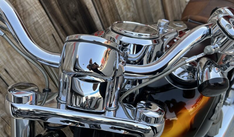 HARLEY DAVIDSON DYNA FAT BOB CVO lleno