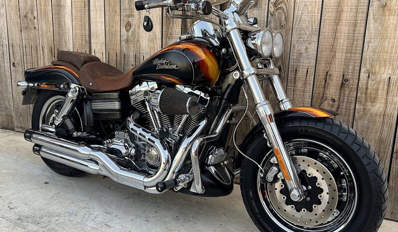 HARLEY DAVIDSON DYNA FAT BOB CVO lleno