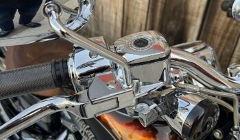 HARLEY DAVIDSON DYNA FAT BOB CVO lleno