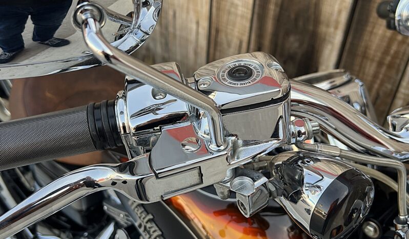 HARLEY DAVIDSON DYNA FAT BOB CVO lleno