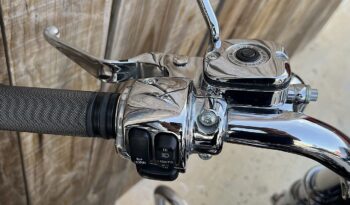 HARLEY DAVIDSON DYNA FAT BOB CVO lleno