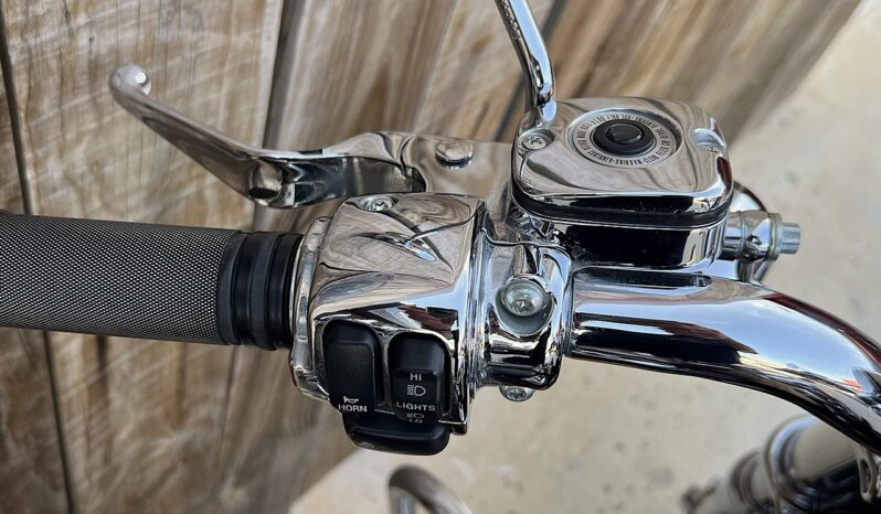 HARLEY DAVIDSON DYNA FAT BOB CVO lleno