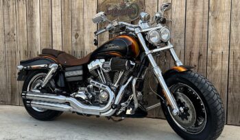 HARLEY DAVIDSON DYNA FAT BOB CVO lleno