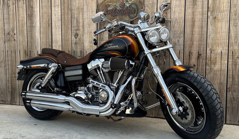 HARLEY DAVIDSON DYNA FAT BOB CVO lleno