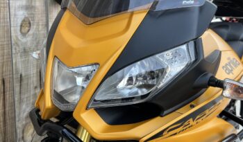 APRILIA CAPONORD RALLY 1200 lleno