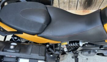 APRILIA CAPONORD RALLY 1200 lleno