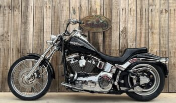 HARLEY DAVIDSON SOFTAIL NIGHT TRAIN lleno