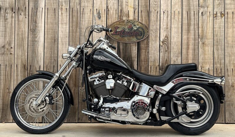 HARLEY DAVIDSON SOFTAIL NIGHT TRAIN lleno