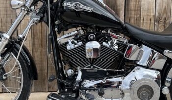 HARLEY DAVIDSON SOFTAIL NIGHT TRAIN lleno