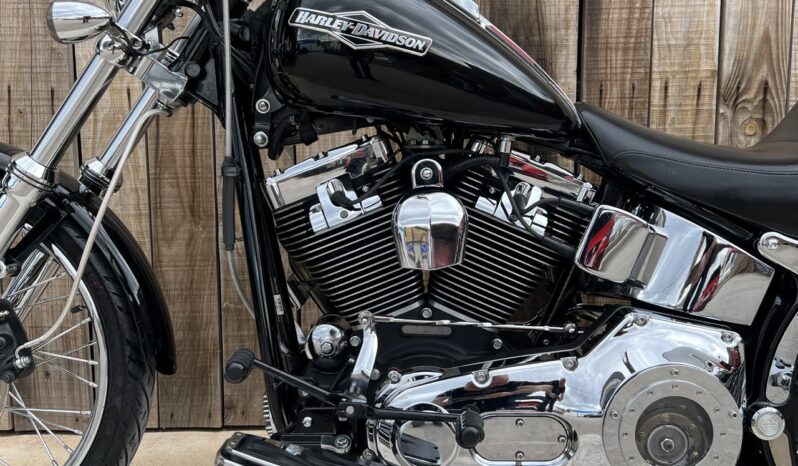 HARLEY DAVIDSON SOFTAIL NIGHT TRAIN lleno