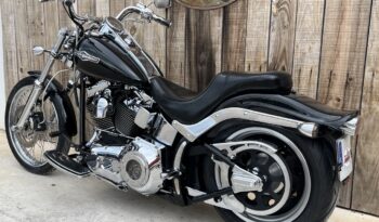 HARLEY DAVIDSON SOFTAIL NIGHT TRAIN lleno