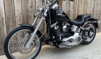 HARLEY DAVIDSON SOFTAIL NIGHT TRAIN lleno