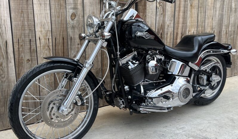 HARLEY DAVIDSON SOFTAIL NIGHT TRAIN lleno