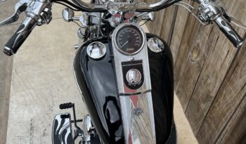 HARLEY DAVIDSON SOFTAIL NIGHT TRAIN lleno