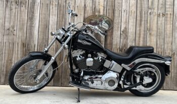 HARLEY DAVIDSON SOFTAIL NIGHT TRAIN lleno