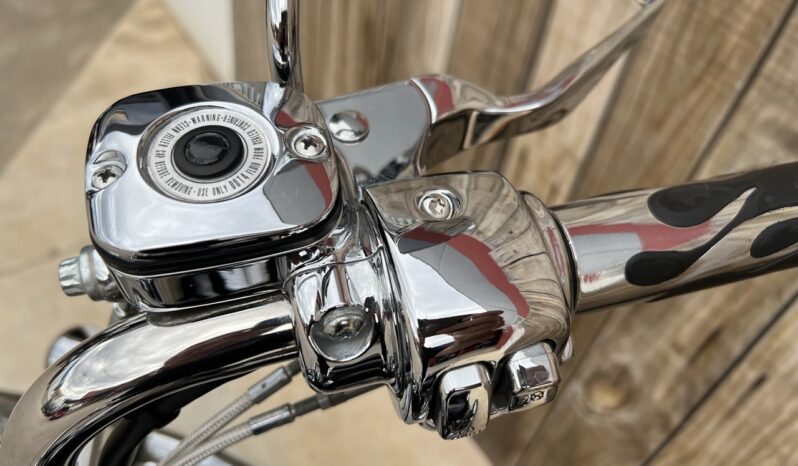 HARLEY DAVIDSON SOFTAIL NIGHT TRAIN lleno