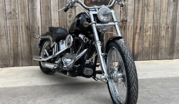 HARLEY DAVIDSON SOFTAIL NIGHT TRAIN lleno