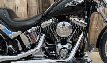 HARLEY DAVIDSON SOFTAIL NIGHT TRAIN lleno