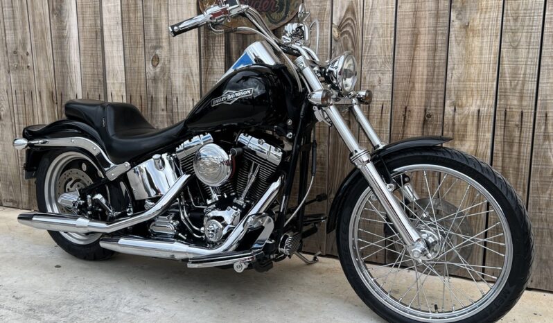 HARLEY DAVIDSON SOFTAIL NIGHT TRAIN lleno