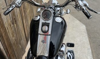 HARLEY DAVIDSON SOFTAIL NIGHT TRAIN lleno