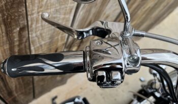 HARLEY DAVIDSON SOFTAIL NIGHT TRAIN lleno