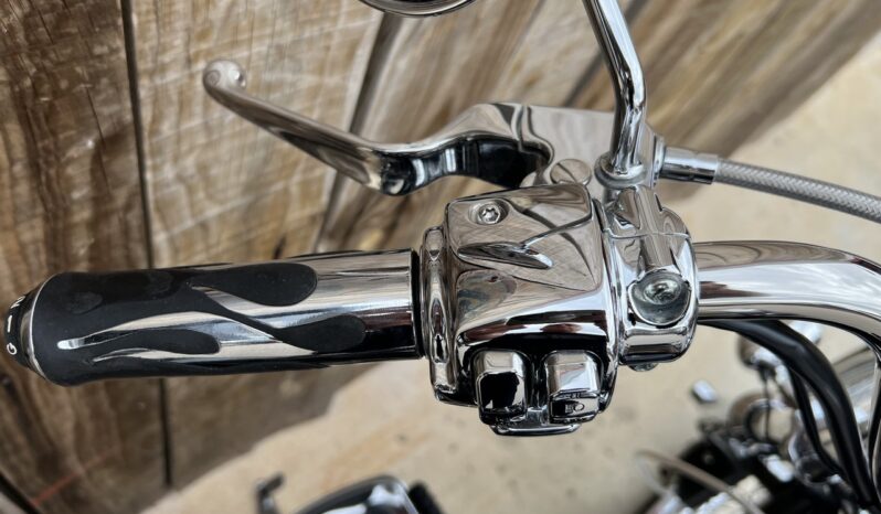HARLEY DAVIDSON SOFTAIL NIGHT TRAIN lleno