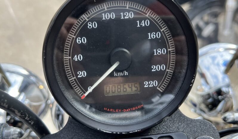HARLEY DAVIDSON XL883 SPORTSTER lleno