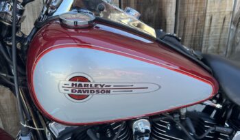 HARLEY DAVIDSON HERITAGE SOFTAIL CLASSIC lleno