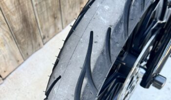 HARLEY DAVIDSON XL883 IRON lleno