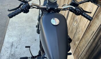 HARLEY DAVIDSON XL883 IRON lleno