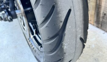 HARLEY DAVIDSON XL883 IRON lleno