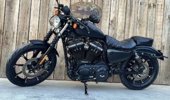 HARLEY DAVIDSON XL883 IRON lleno
