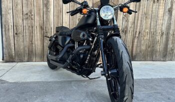 HARLEY DAVIDSON XL883 IRON lleno