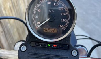 HARLEY DAVIDSON XL883 IRON lleno