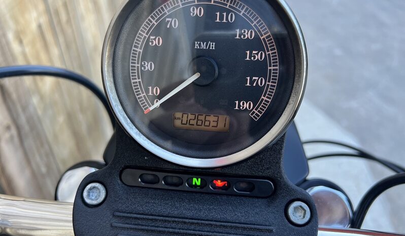 HARLEY DAVIDSON XL883 IRON lleno