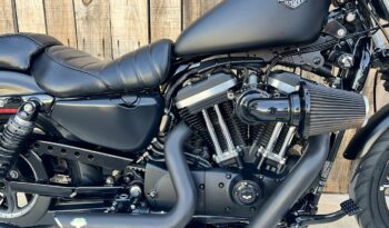 HARLEY DAVIDSON XL883 IRON lleno