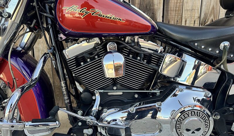 HARLEY DAVIDSON HERITAGE SOFTAIL CLASSIC lleno