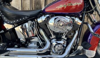 HARLEY DAVIDSON HERITAGE SOFTAIL CLASSIC lleno