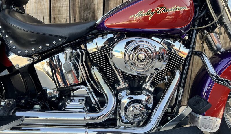 HARLEY DAVIDSON HERITAGE SOFTAIL CLASSIC lleno